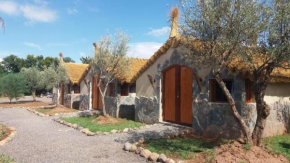 Private Room and Bb - Enchanting estate with swimming pool and jacuzzi